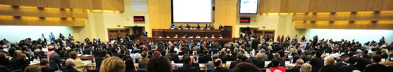 Szakmai rendezvények, kiállítás Szakmai rendezvények, kiállítás