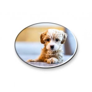 Fényképes Hűtőmágnes ovális 5.5cm x 4cm